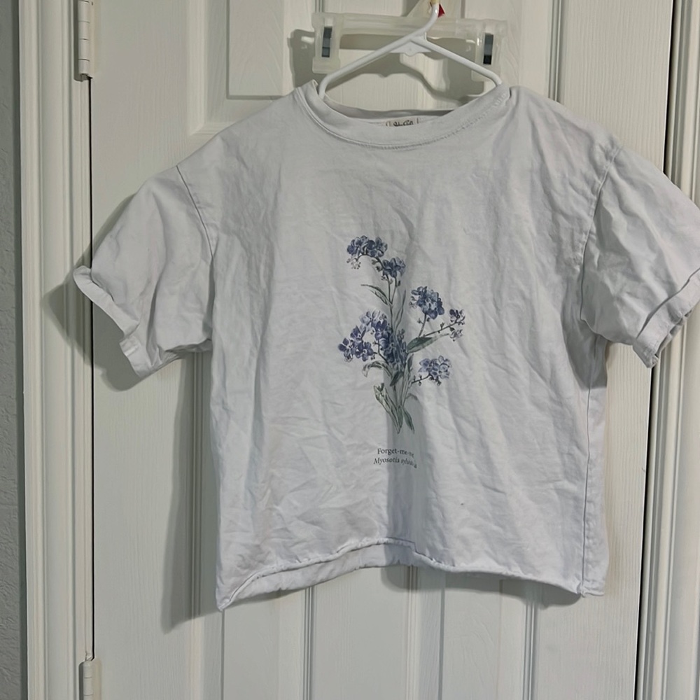 Brandy/John Galt cropped baggy tee